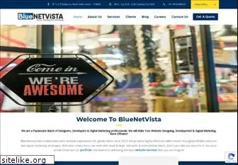 bluenetvista.com