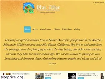 blueotterschool.com