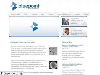 bluepointenvironmental.com