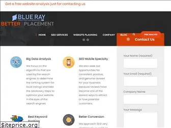 blueraymarketing.com