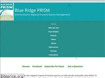 blueridgeprism.org