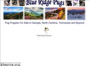 blueridgepugs.com