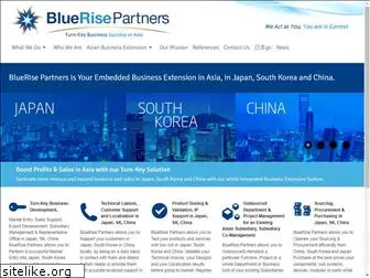bluerisepartners.com