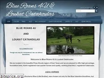 blueroans4u.com