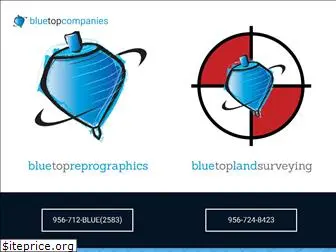 bluetopcompanies.com