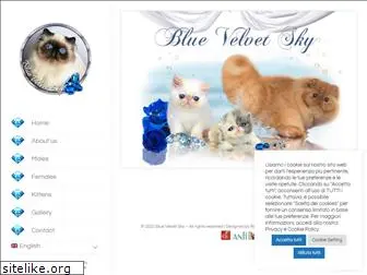 bluevelvetsky.com