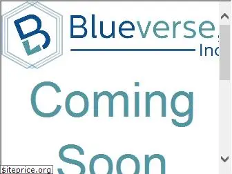 blueverse.com