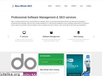 bluewhaleseo.com