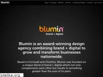 blumin.co.uk