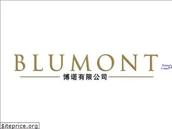 blumontgroup.com
