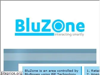 bluzone.co.za