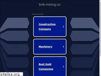 bnb-mining.cc