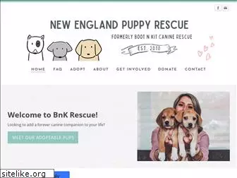 bnkrescue.com