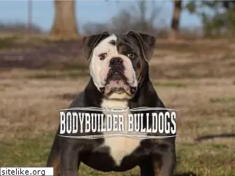 bodybuilderbulldogs.com