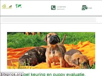 boerboelinternational.com