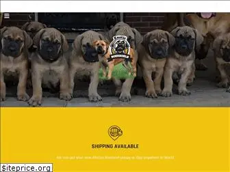 boerboelpuppy.com