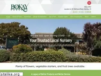 bokaynursery.net