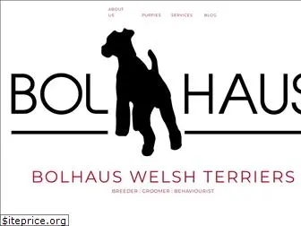 bolhaus.com
