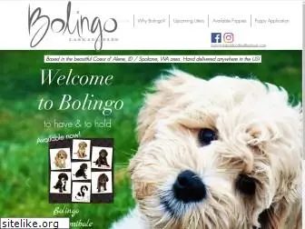 bolingolabradoodles.com