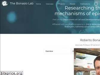 bonasiolab.org