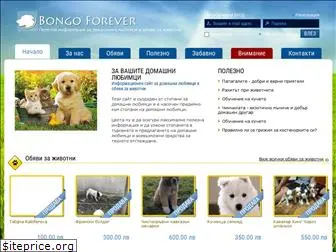 bongoforever.info