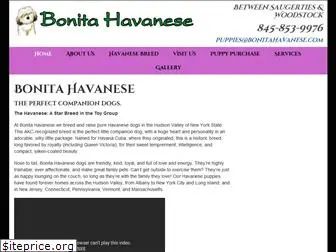 bonitahavanese.com
