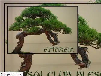 bonsai-club-blesois.fr