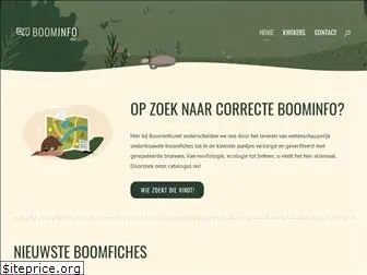 boominfo.net thumbnail
