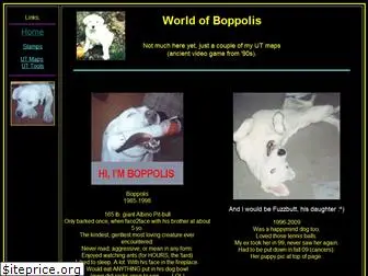 boppolis.com