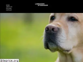 boradorlabradors.com