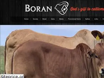 boran.org.za