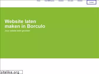 borculo-webdesign.nl