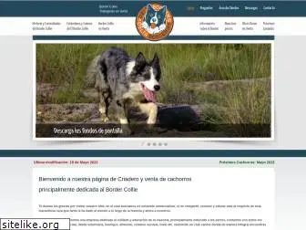 bordercollie.com.mx