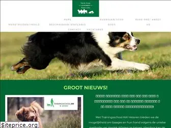 bordercollie.nl