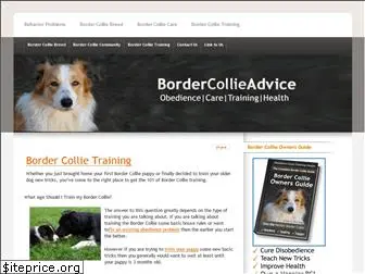 bordercollieadvice.com