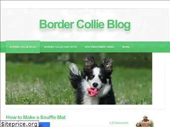 bordercollieblog.com