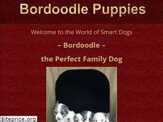 bordoodlepuppies.com