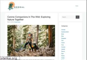 borealforest.org