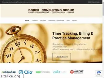 borekconsulting.com