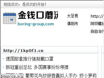 boring-group.com