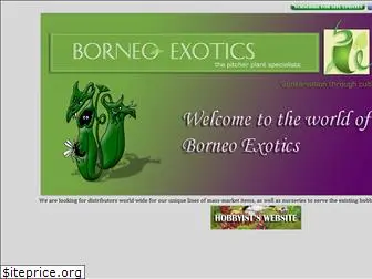 borneoexotics.com