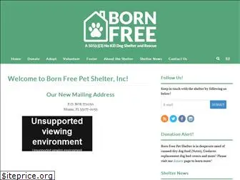 bornfreeshelter.org
