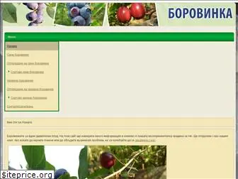 borovinka-bg.com