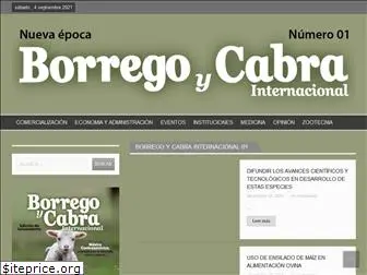 borrego.com.mx
