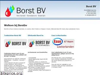 borstbv.nl