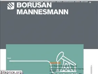 borusanmannesmann.com.tr