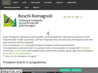 boschiromagnoli.it