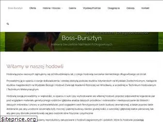 boss-bursztyn.com.pl