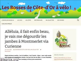 bosses21.com