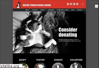 bostonterrierrescuecanada.com